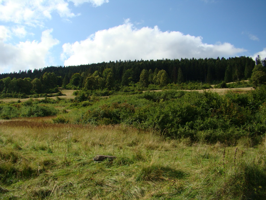 Veľká Knola, Ferdinandka, Pálenica (Volovské vrchy)