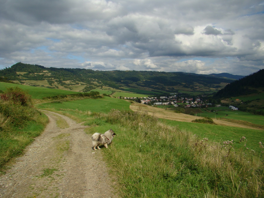 Veľká Knola, Ferdinandka, Pálenica (Volovské vrchy)