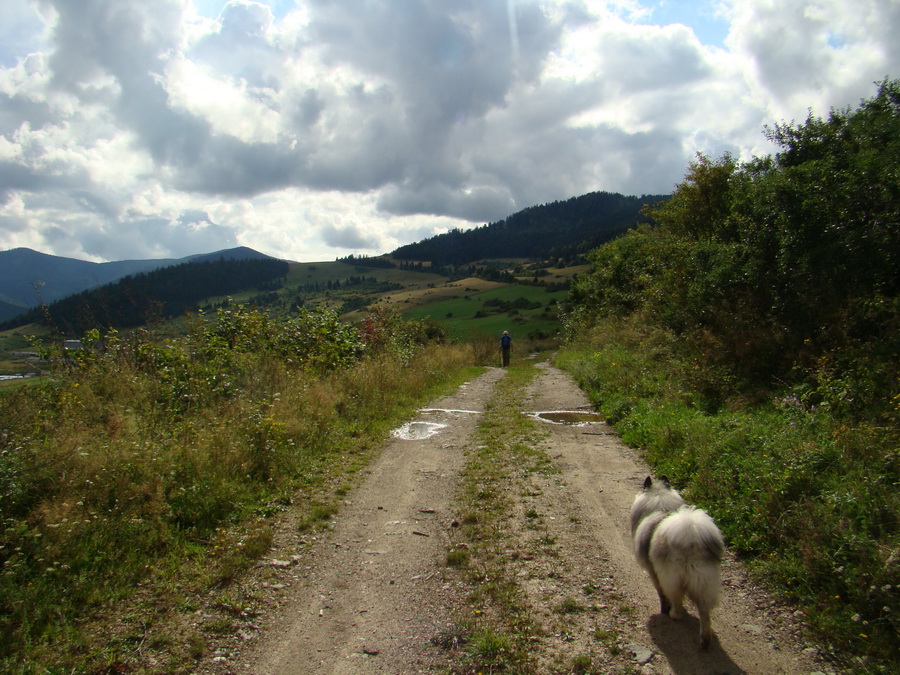 Veľká Knola, Ferdinandka, Pálenica (Volovské vrchy)