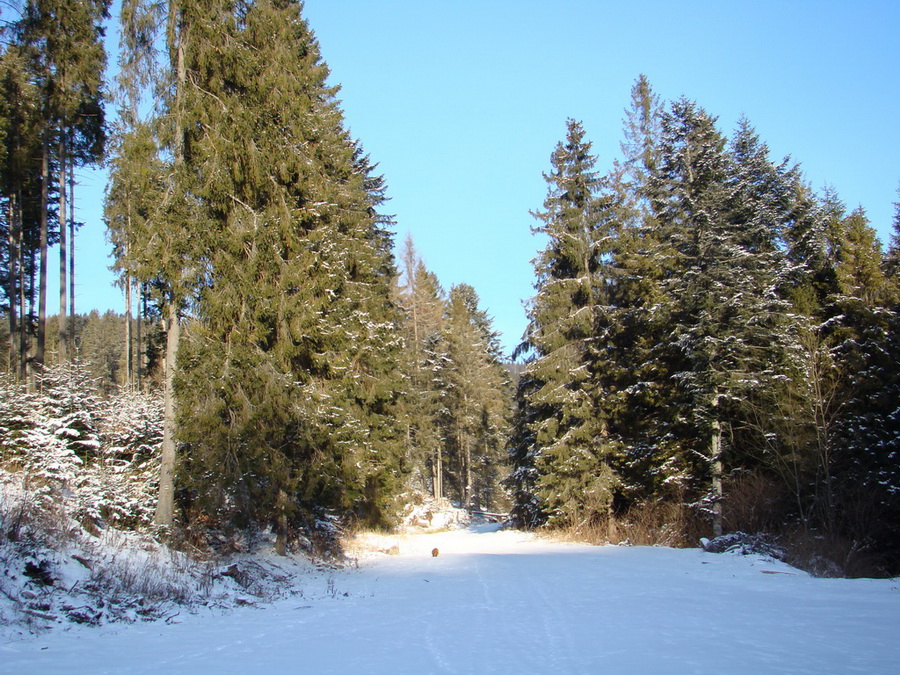 Veľká Knola (Volovské vrchy)