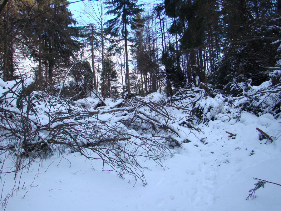 Veľká Knola (Volovské vrchy)