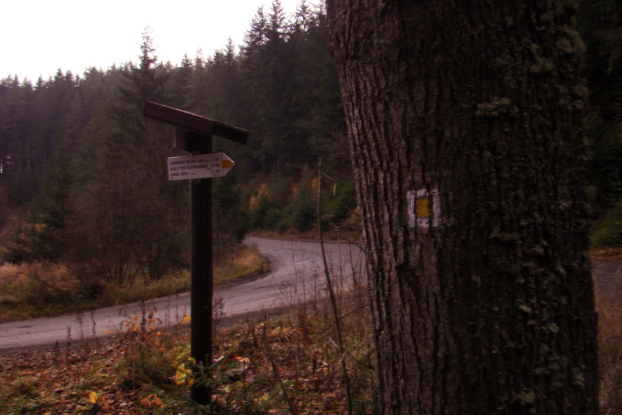 Veľký Bok (Nízke Tatry)