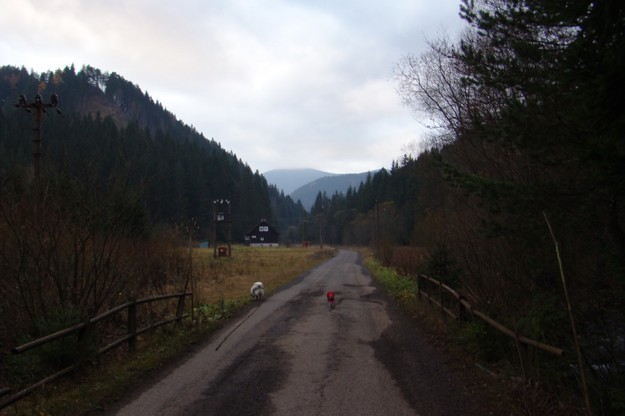 Veľký Bok (Nízke Tatry)