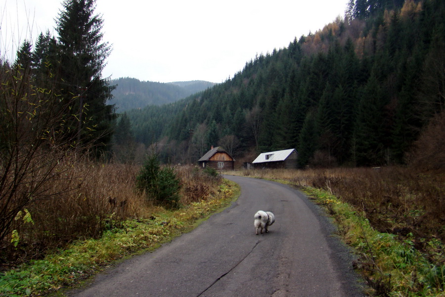 Veľký Bok (Nízke Tatry)