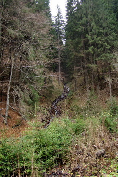 Veľký Bok (Nízke Tatry)