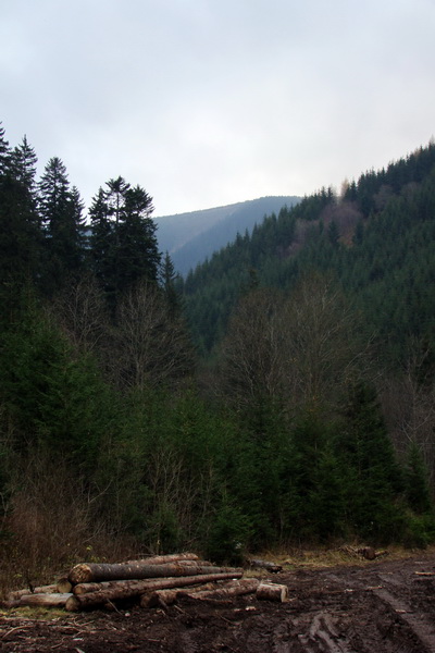 Veľký Bok (Nízke Tatry)