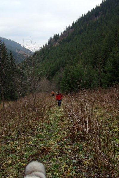 Veľký Bok (Nízke Tatry)