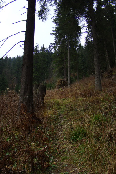 Veľký Bok (Nízke Tatry)