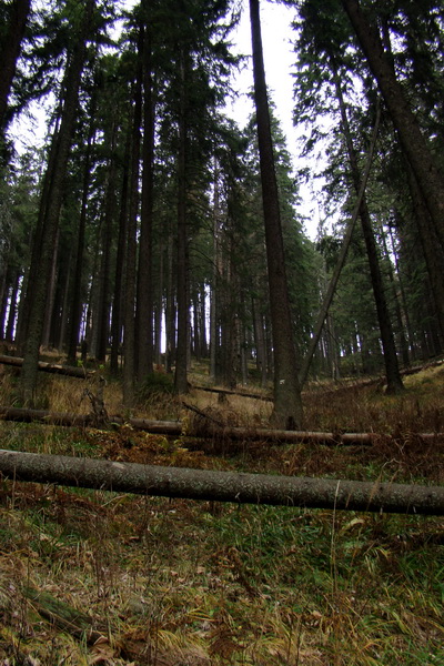 Veľký Bok (Nízke Tatry)