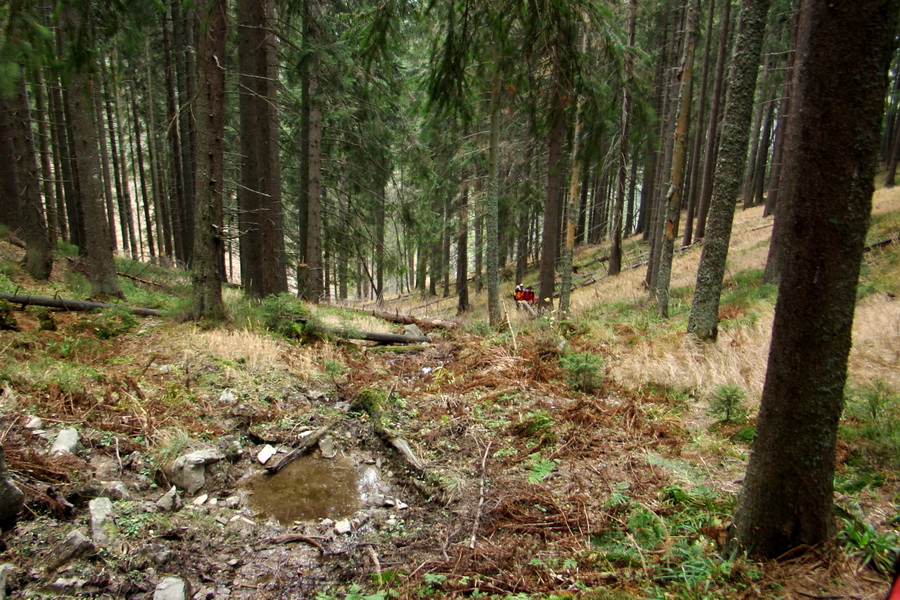 Veľký Bok (Nízke Tatry)