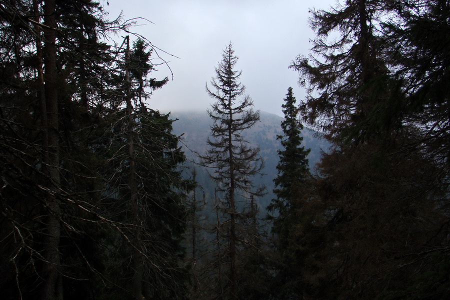 Veľký Bok (Nízke Tatry)