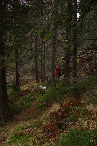 Veľký Bok (Nízke Tatry)