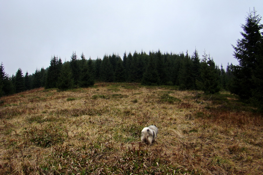 Veľký Bok (Nízke Tatry)