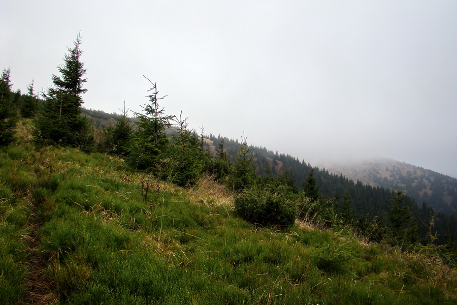 Veľký Bok (Nízke Tatry)