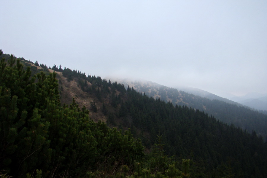 Veľký Bok (Nízke Tatry)