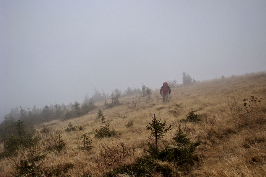 Veľký Bok (Nízke Tatry)