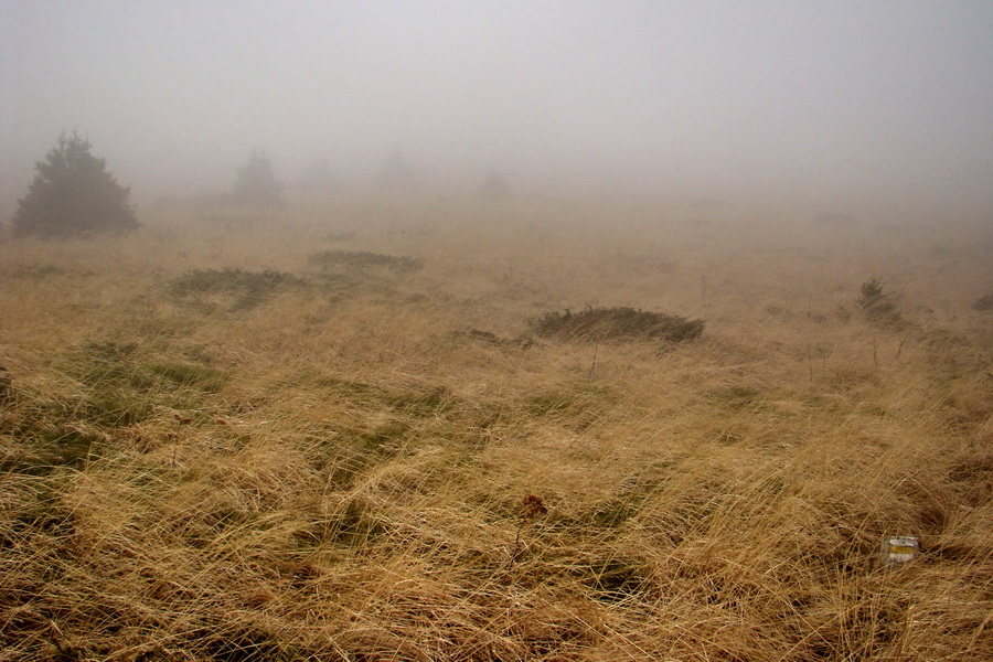 Veľký Bok (Nízke Tatry)