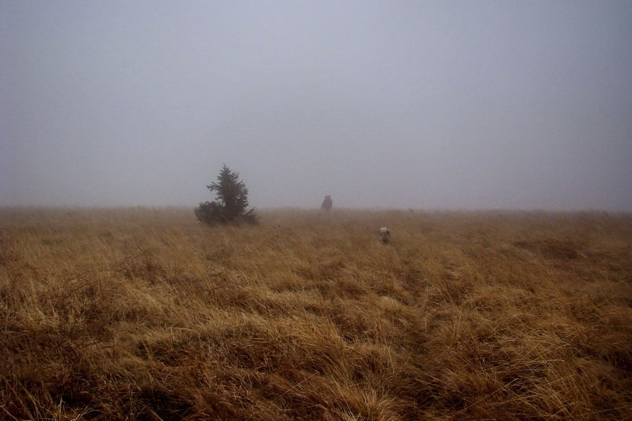 Veľký Bok (Nízke Tatry)