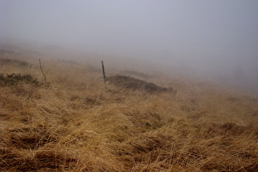 Veľký Bok (Nízke Tatry)