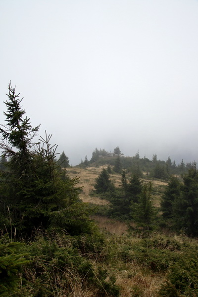 Veľký Bok (Nízke Tatry)