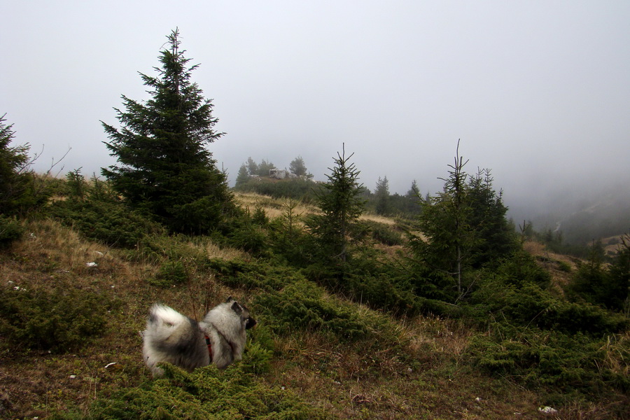 Veľký Bok (Nízke Tatry)