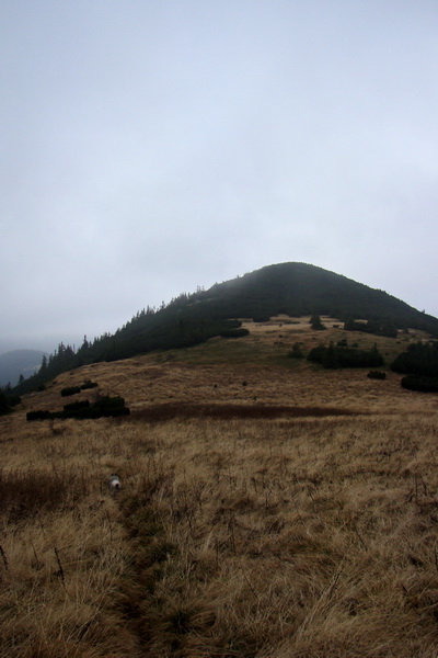 Veľký Bok (Nízke Tatry)