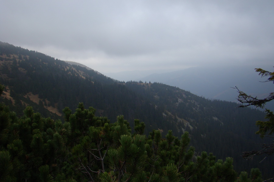 Veľký Bok (Nízke Tatry)