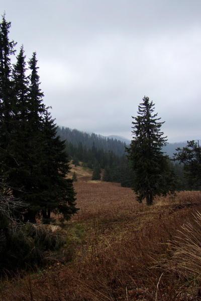 Veľký Bok (Nízke Tatry)