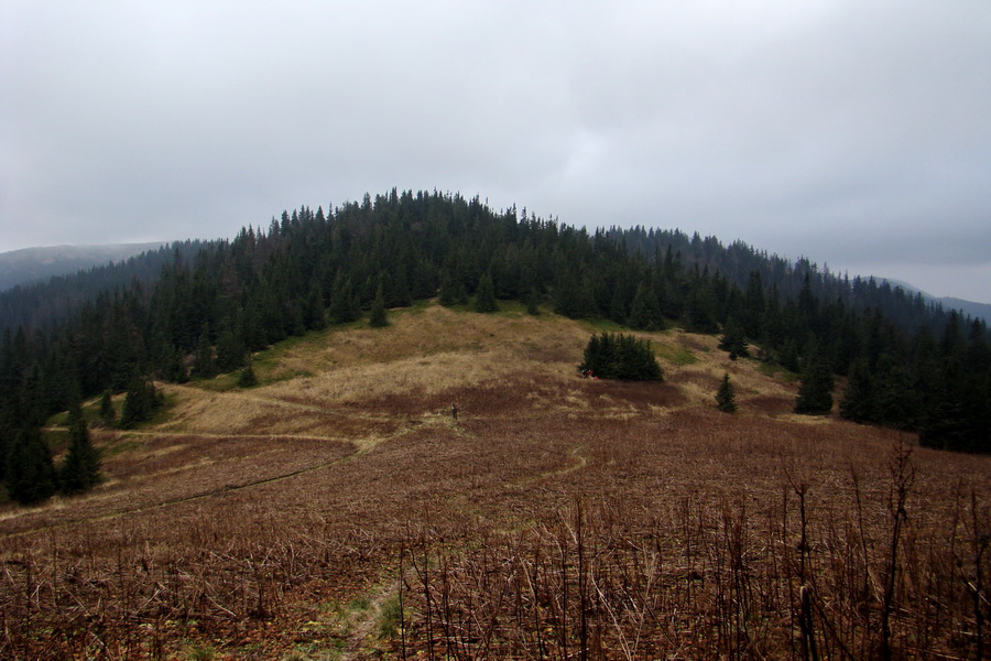 Veľký Bok (Nízke Tatry)