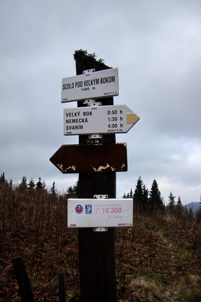 Veľký Bok (Nízke Tatry)