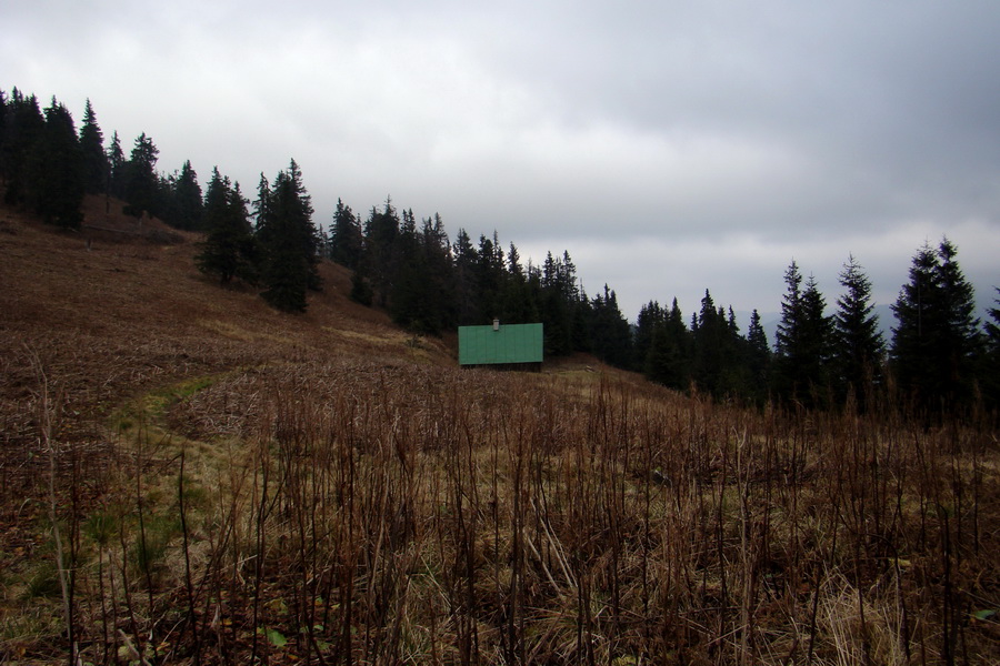 Veľký Bok (Nízke Tatry)