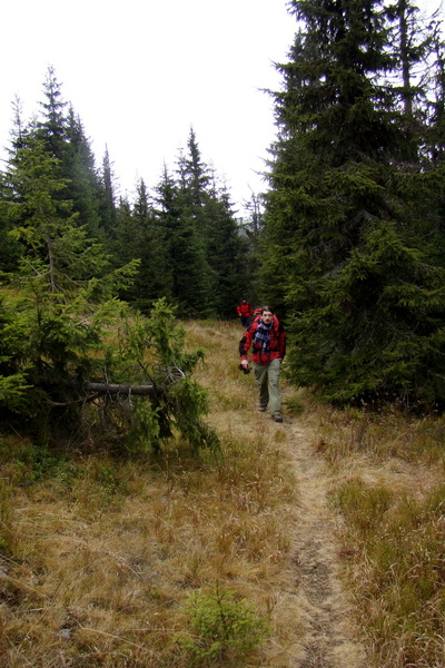 Veľký Bok (Nízke Tatry)