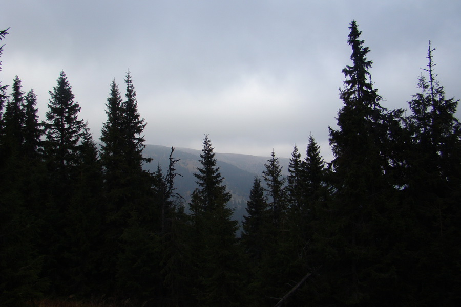 Veľký Bok (Nízke Tatry)