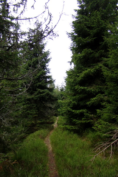 Veľký Bok (Nízke Tatry)