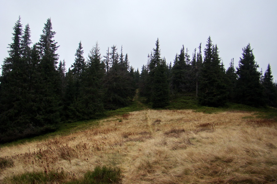 Veľký Bok (Nízke Tatry)