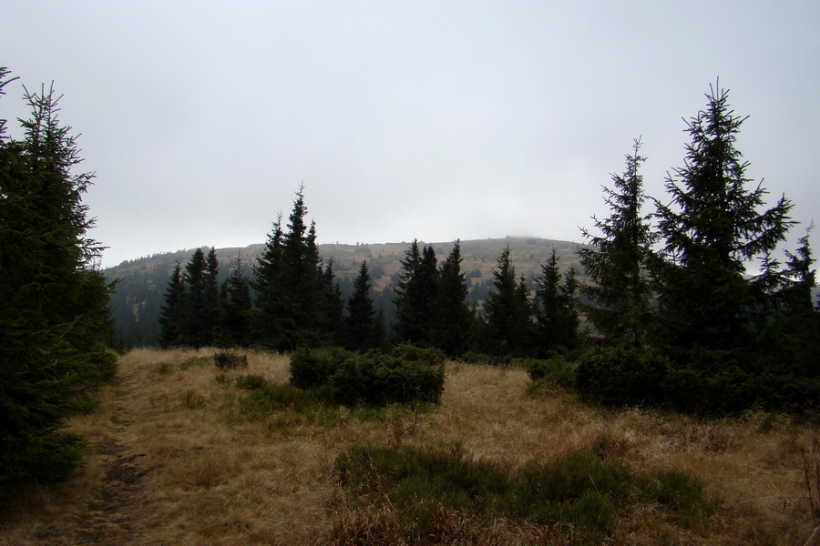 Veľký Bok (Nízke Tatry)