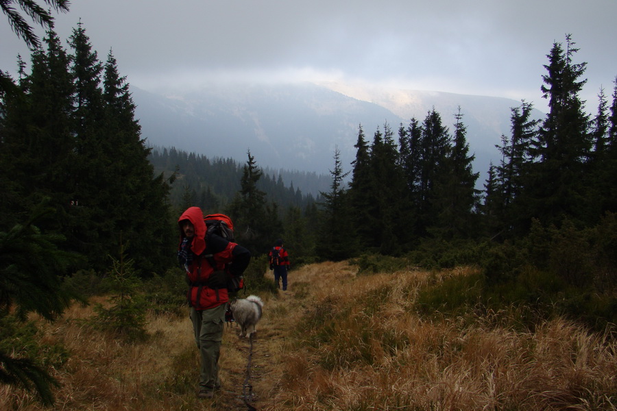 Veľký Bok (Nízke Tatry)