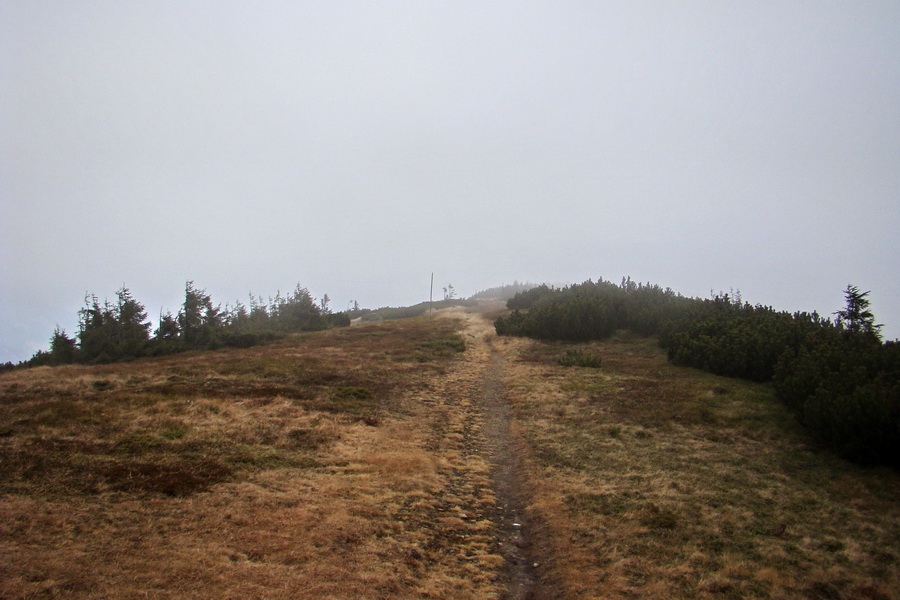 Veľký Bok (Nízke Tatry)