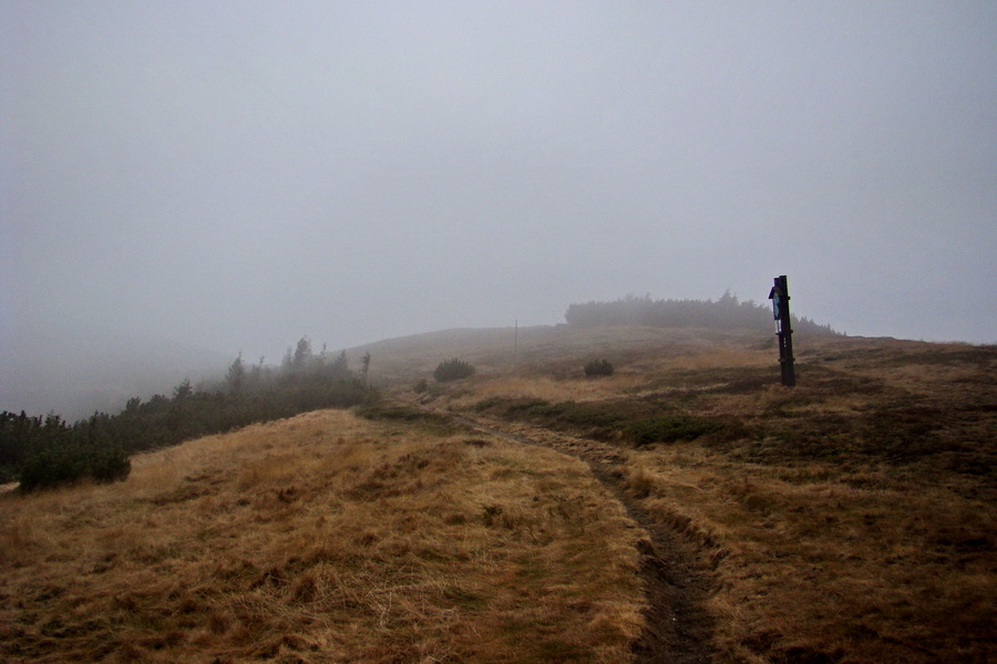 Veľký Bok (Nízke Tatry)