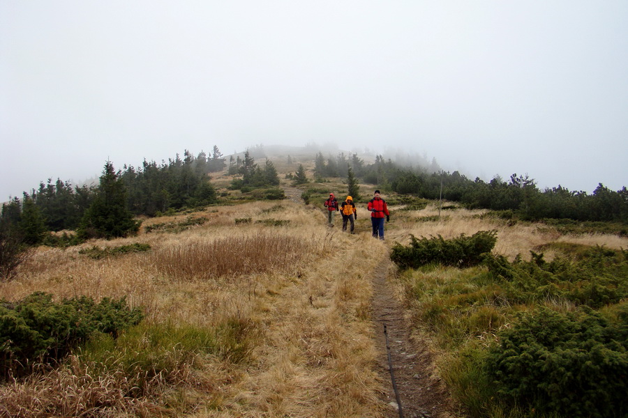 Veľký Bok (Nízke Tatry)