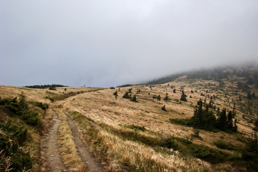 Veľký Bok (Nízke Tatry)