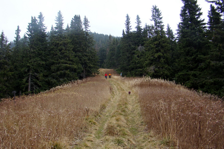 Veľký Bok (Nízke Tatry)