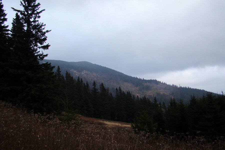 Veľký Bok (Nízke Tatry)