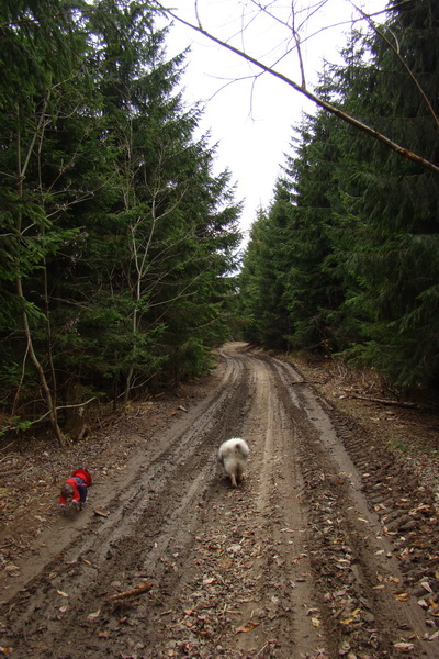 Veľký Bok (Nízke Tatry)