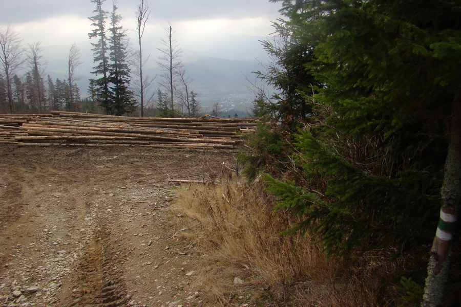 Veľký Bok (Nízke Tatry)