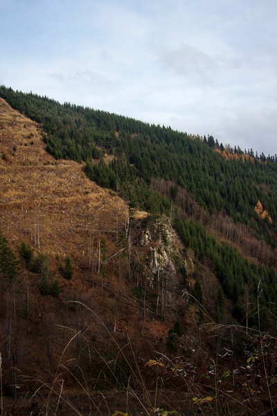 Veľký Bok (Nízke Tatry)