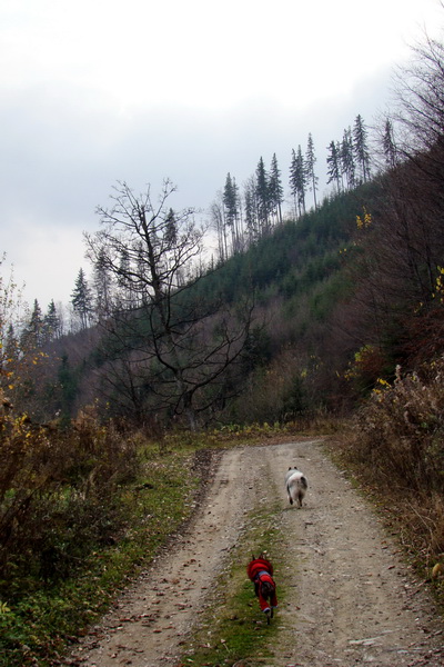 Veľký Bok (Nízke Tatry)