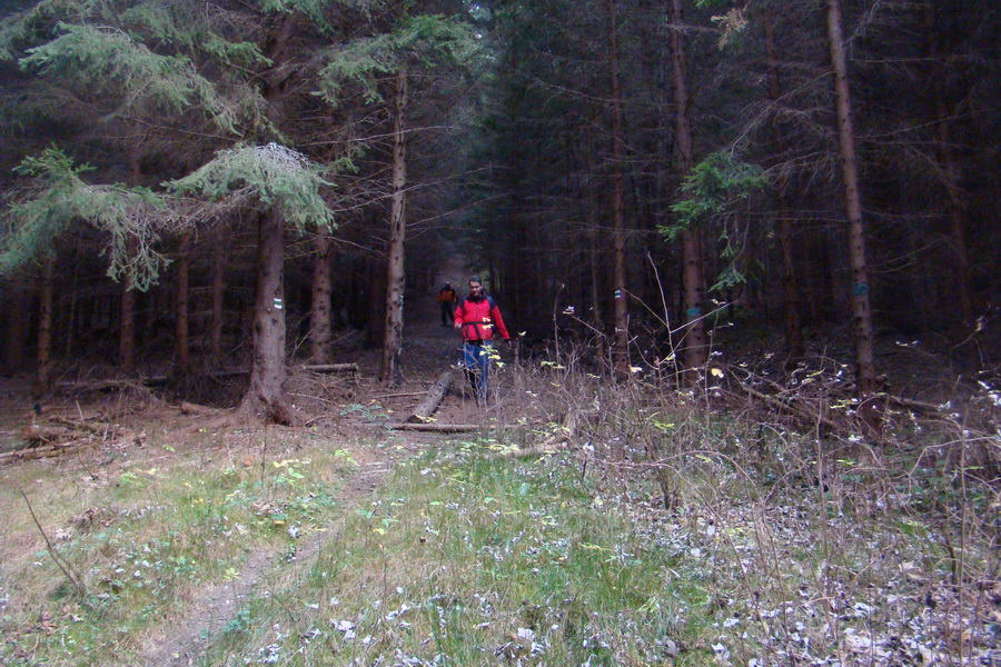 Veľký Bok (Nízke Tatry)