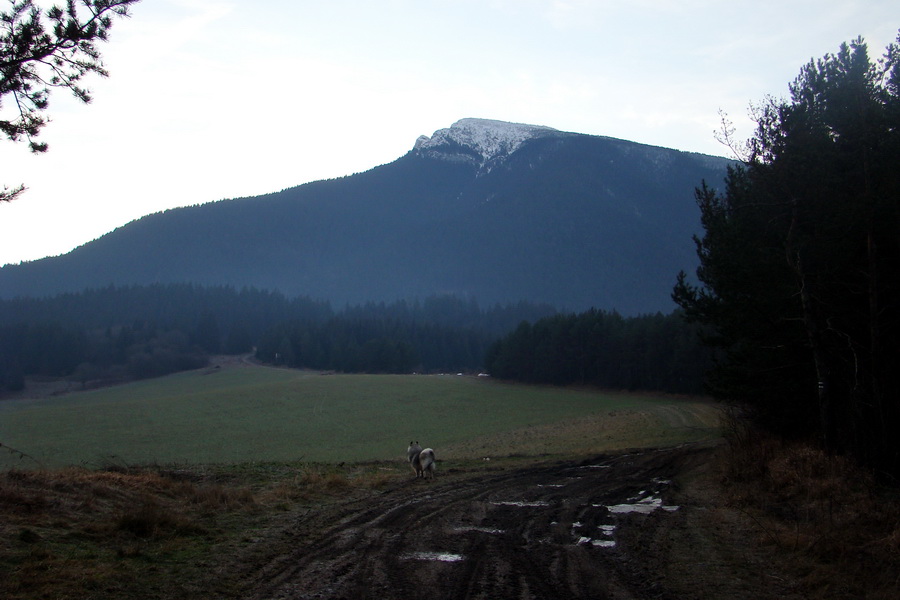 Veľký Choč (Chočské vrchy)