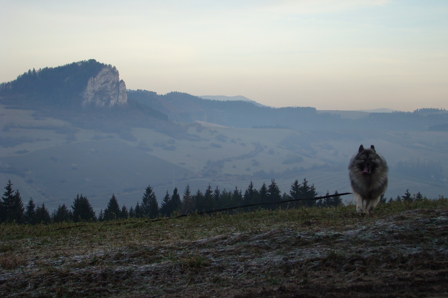 Veľký Choč (Chočské vrchy)